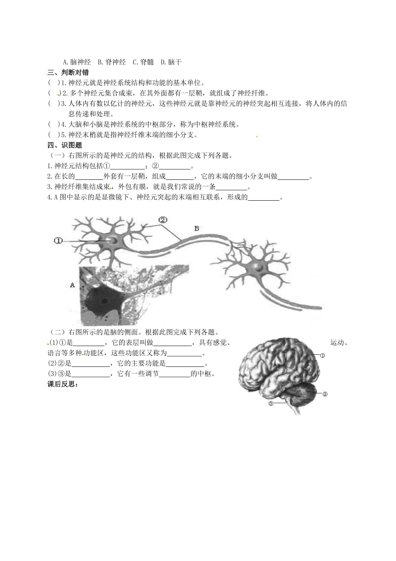 [精选类]七年级生物下册 6.2《神经系统的组成》导学案（无答案） 新人教版.doc_第2页