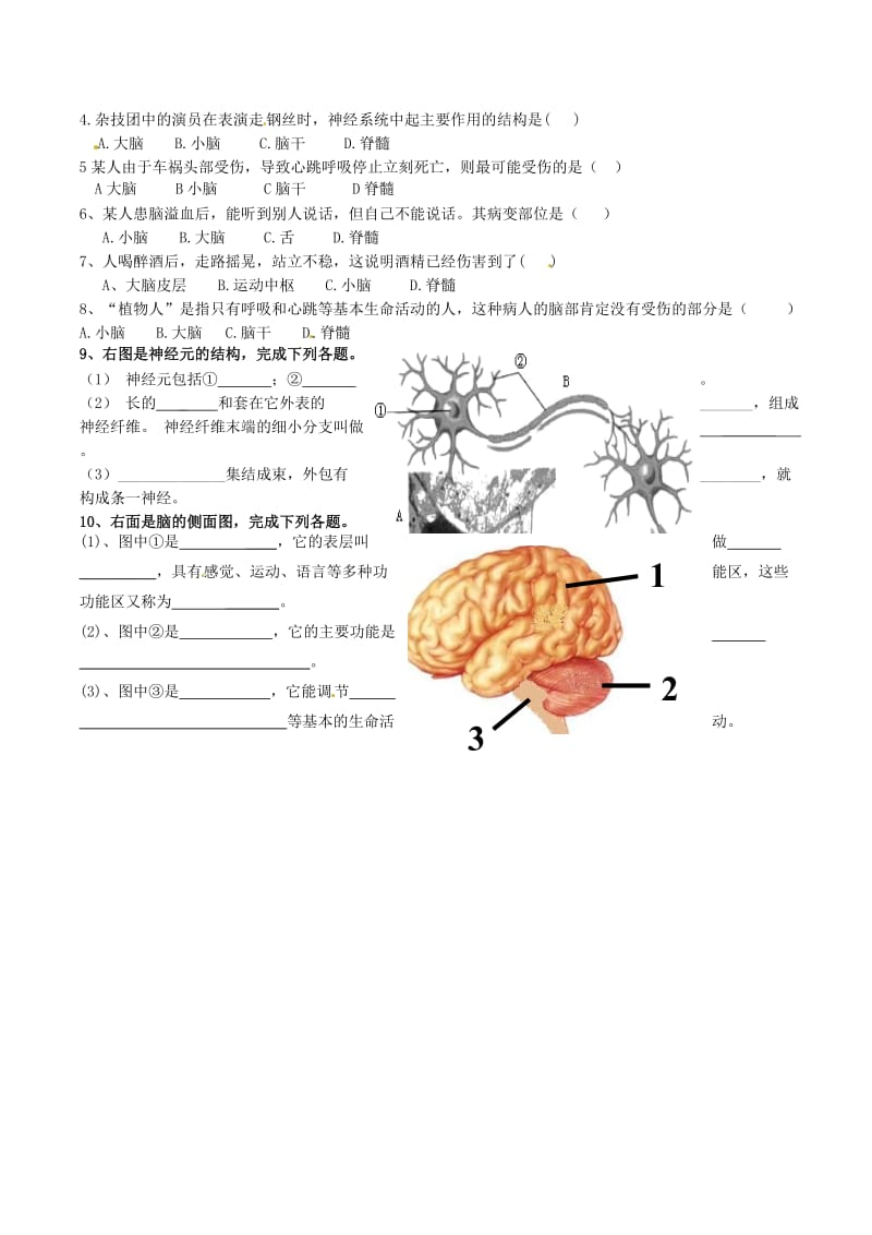 [精选类]山东省肥城市王庄镇初级中学七年级生物下册 6.2 神经系统的组成导学案（无答案） 新人教版.doc_第2页