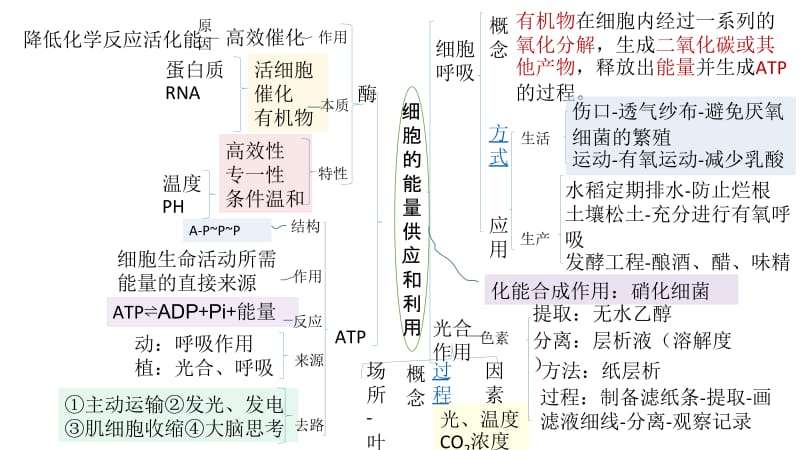 分子与细胞-思维导图.ppt_第2页