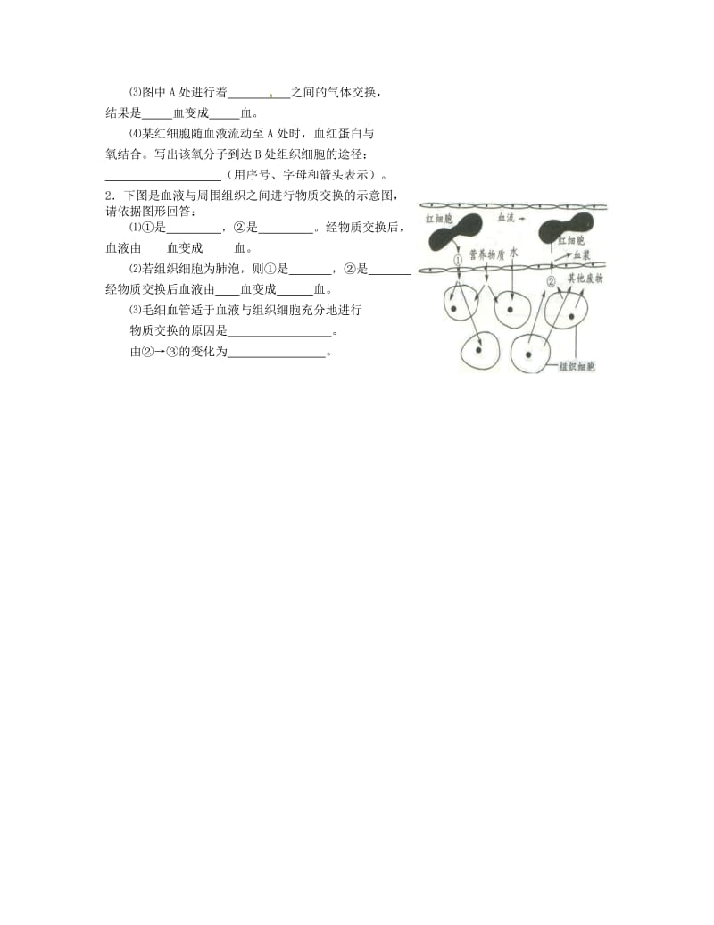 [精选类]内蒙古鄂尔多斯市东胜区培正中学七年级生物下册 血液循环巩固练习（无答案） 新人教版.doc_第3页