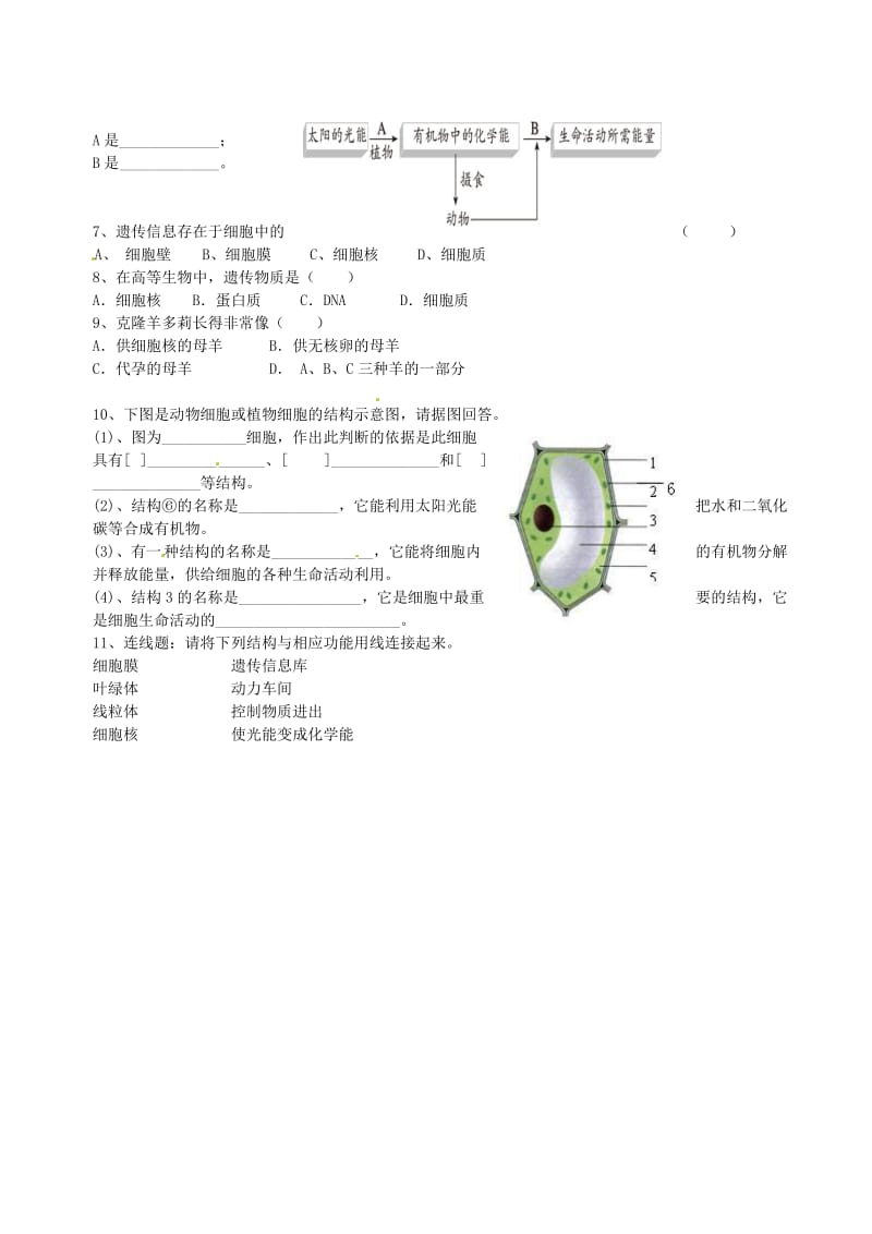 [精选类]山东省肥城市王庄镇初级中学七年级生物上册 第四节 细胞的生活导学案（无答案） 新人教版.doc_第2页