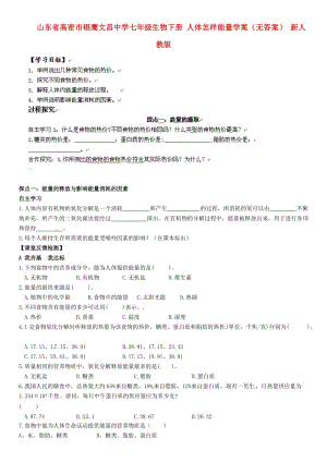 [精选类]山东省高密市银鹰文昌中学七年级生物下册 人体怎样能量学案（无答案） 新人教版.doc