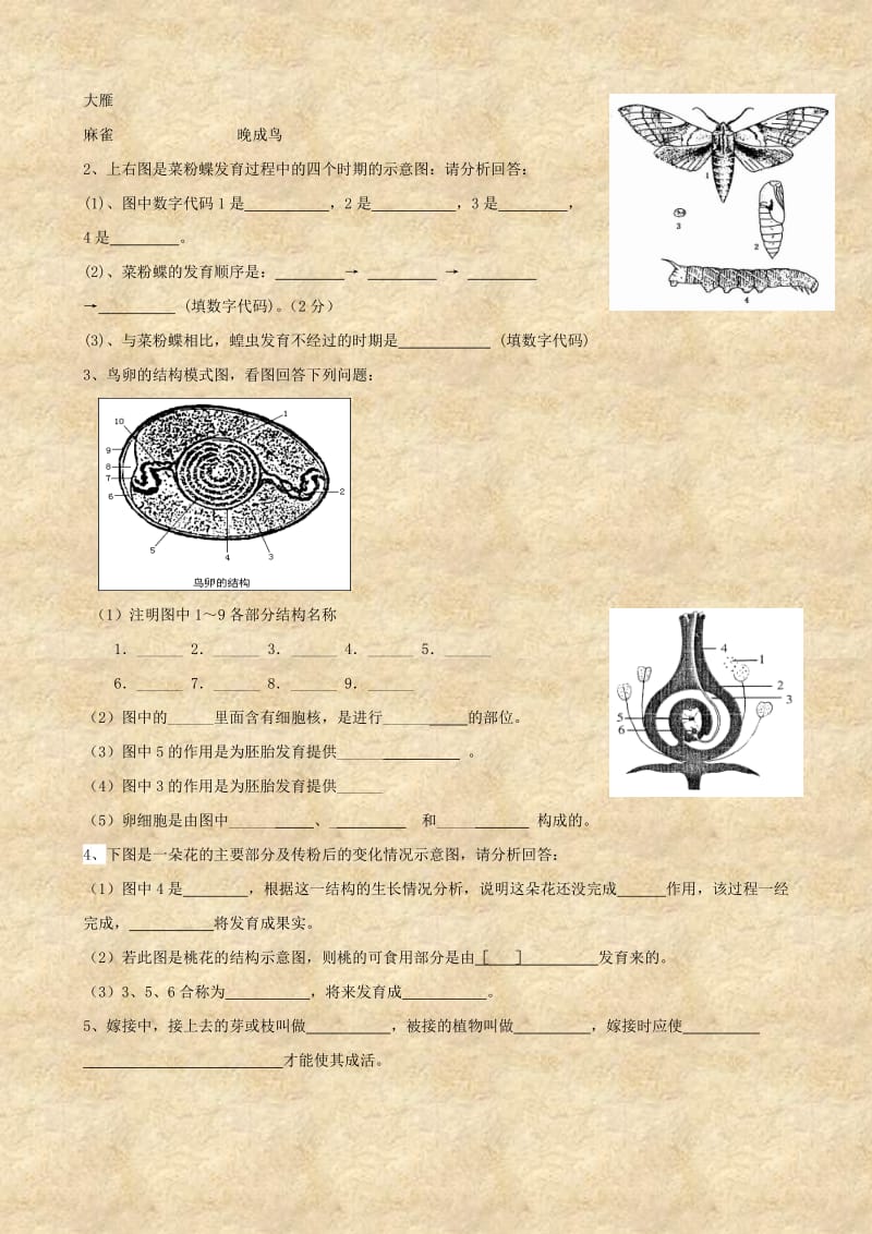 [精选类]八年级生物上册 第14章《生物的生殖与发育》单元测试 苏科版（通用）.doc_第3页