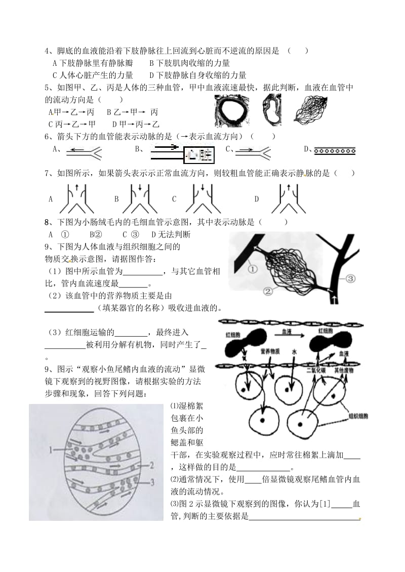 [精选类]山东省聊城市外国语学校七年级生物下册 4.4.2 血流的管道—血管导学案（无答案）（新版）新人教版.doc_第2页