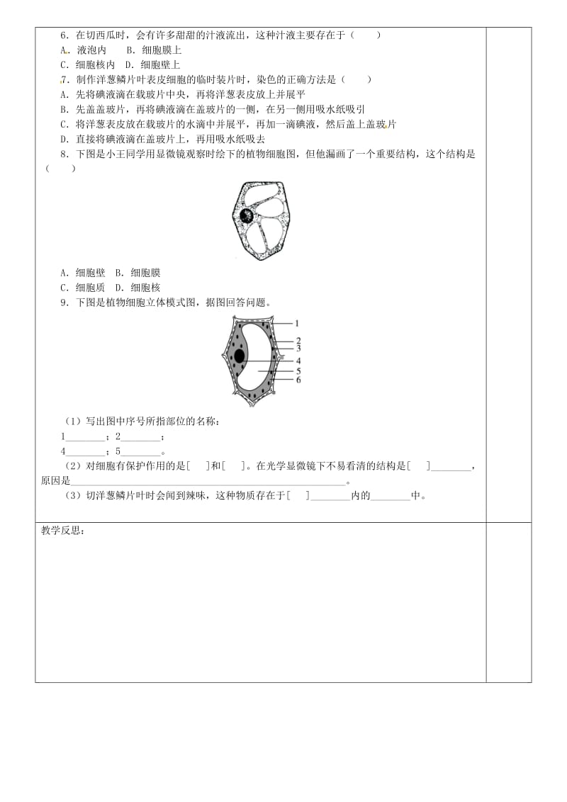 [精选类]七年级生物上册 2.1.2植物细胞导学案（无答案）（新版）新人教版（通用）.doc_第3页