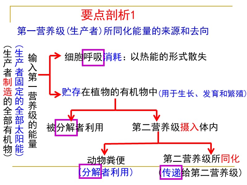 浏阳一中生物学科寻耀邦（能量流动）.ppt_第2页