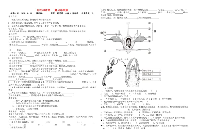 [精选类]七年级生物上册 果实和种子的形成复习学案（无答案） 人教新课标版.doc_第1页