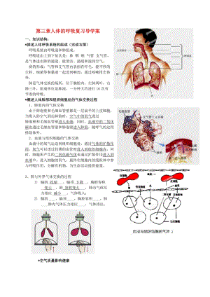 [精选类]安徽省毫州市风华中学七年级生物下册《第三章 人体的呼吸》复习导学案 新人教版.doc