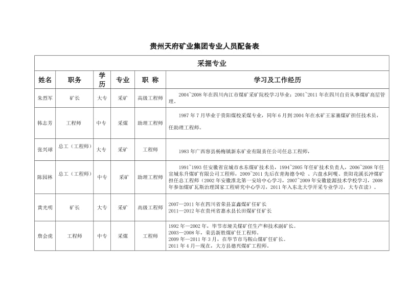 集团公司专业技术人员配备表.doc_第1页