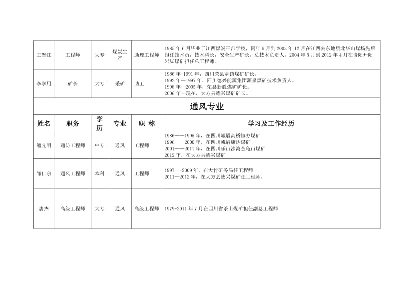 集团公司专业技术人员配备表.doc_第2页