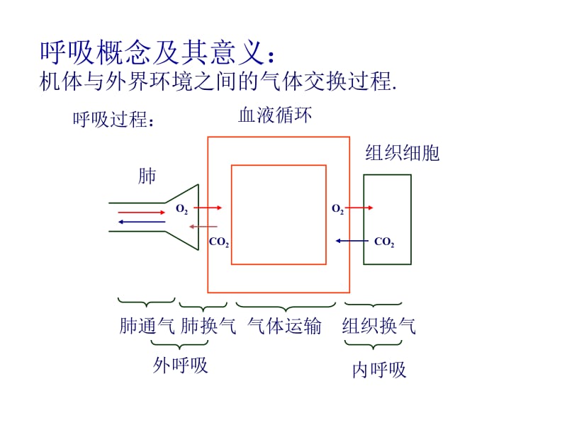 呼吸机基础知识笔记.ppt_第2页