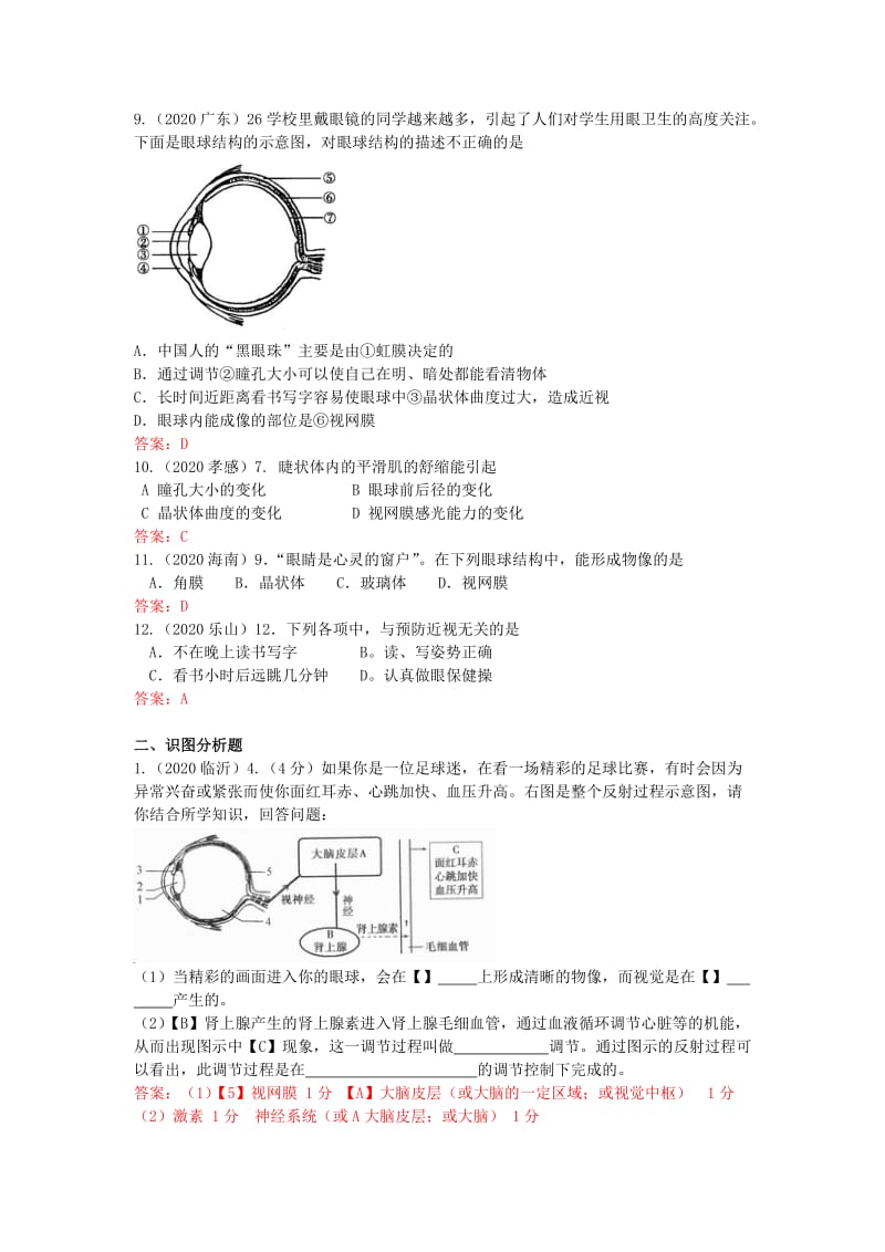 [精选类]202x年中考生物真题分类汇编专题二十四 人体的感觉器官.doc_第2页