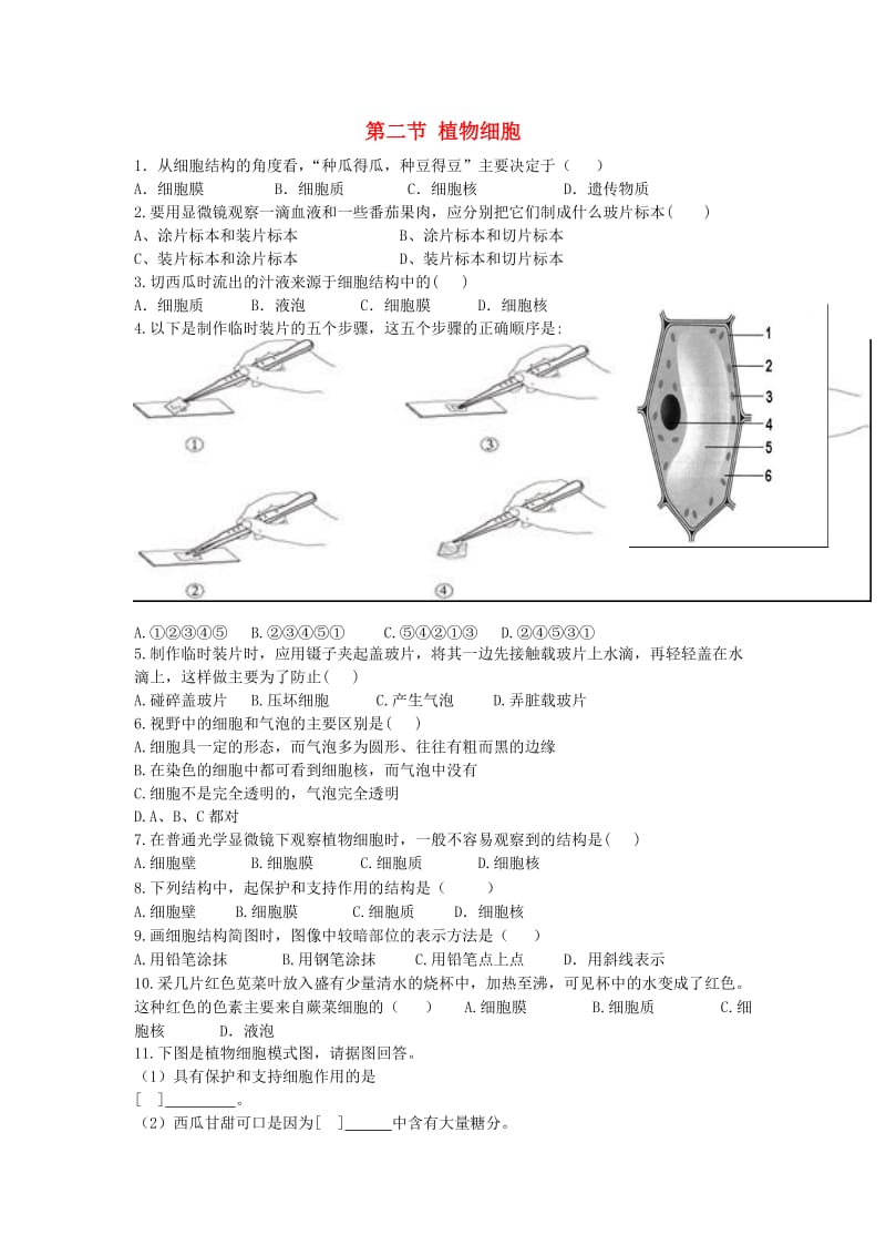 [精选类]七年级生物上册 2.1.2 植物细胞课时训练（无答案）（新版）新人教版.doc_第1页