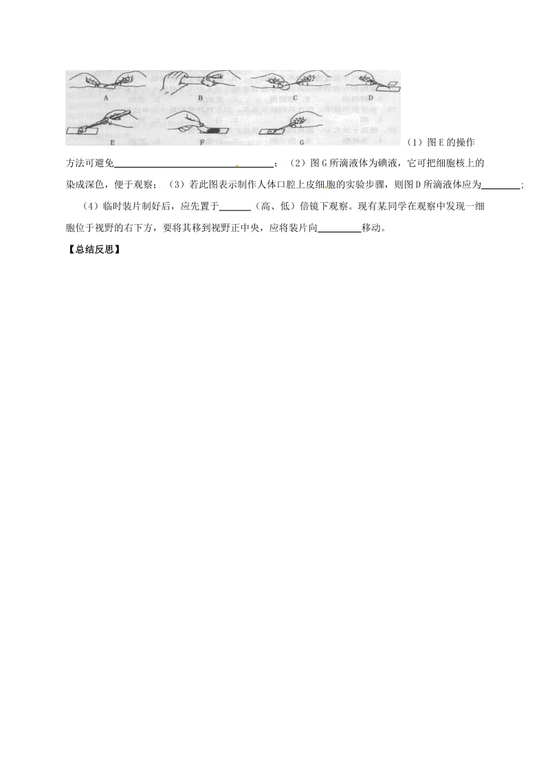 [精选类]山东省临沂市七年级生物上册 2.1.2 植物细胞学案（无答案）（新版）新人教版.doc_第3页