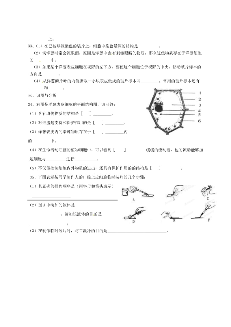 [精选类]山东省沂源县燕崖中学七年级生物上册 2.1 观察细胞的结构单元综合测试（无答案）（新版）新人教版.doc_第3页