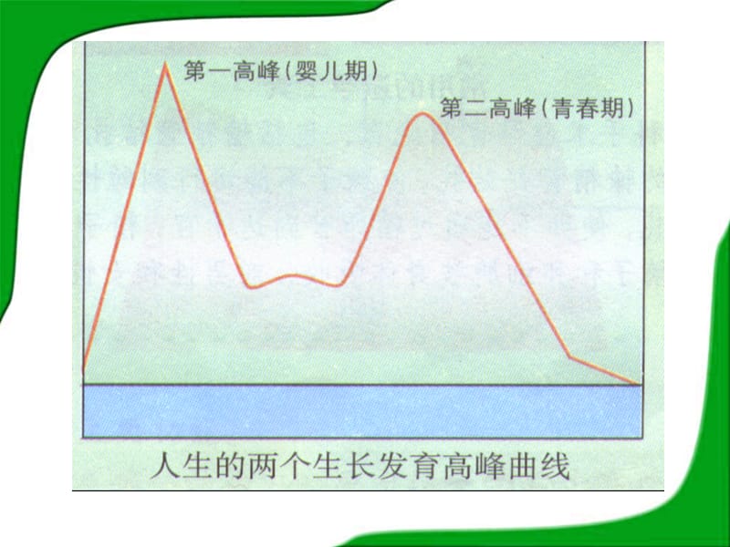 第1章_第3节_青春期.ppt_第2页