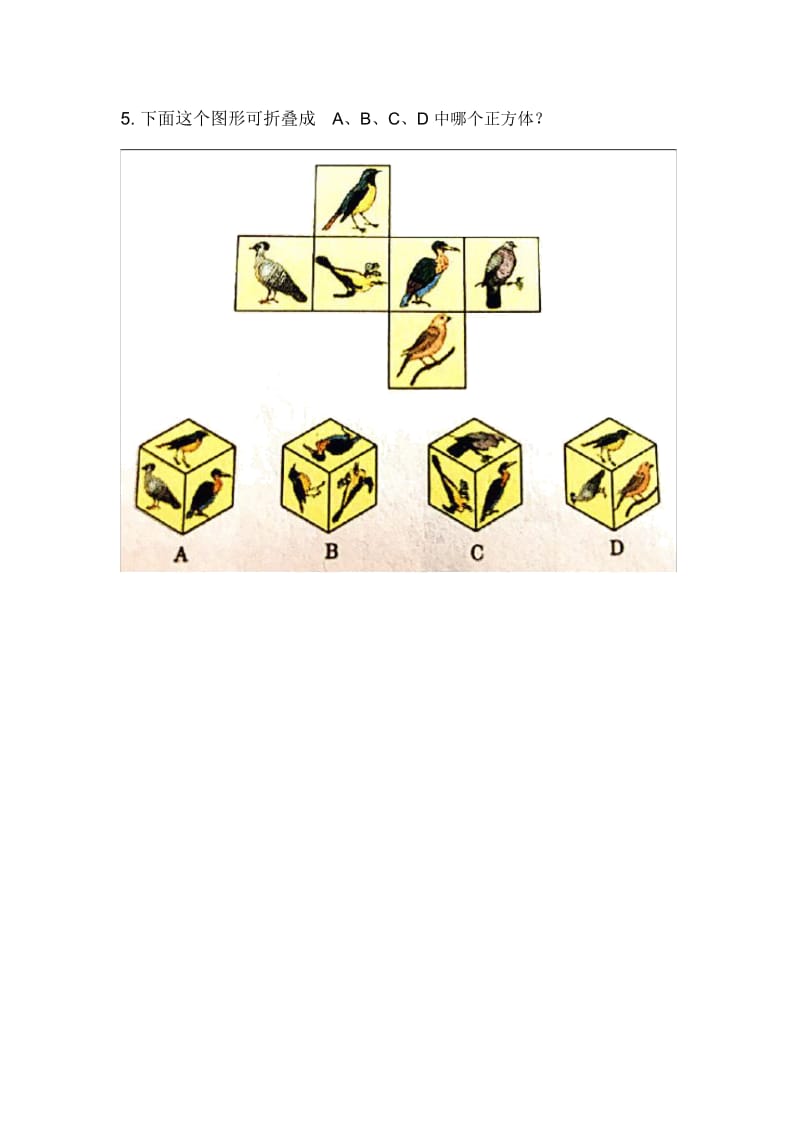长方体和正方体的平面展开图.docx_第2页
