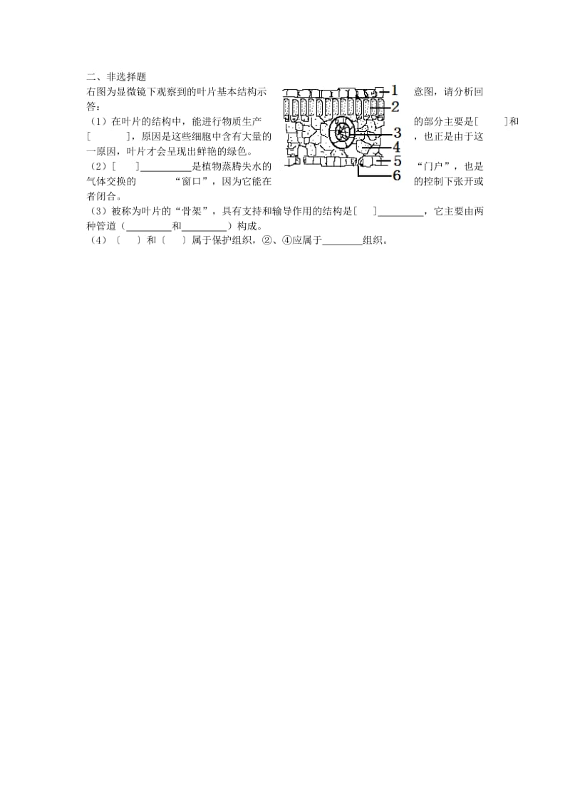 [精选类]202x年秋七年级生物上册 第三单元 第三章 绿色植物与生物圈的水循环学案（无答案）（新版）新人教版.doc_第3页