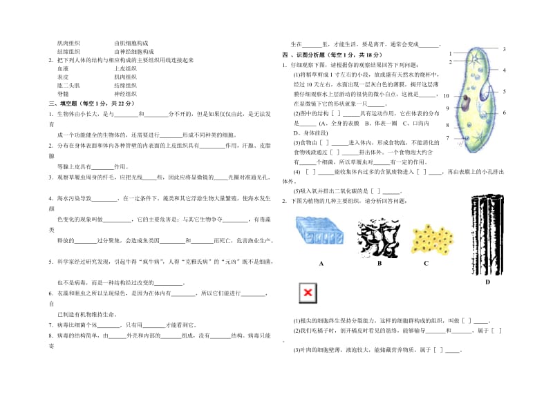 [精选类]七年级生物上册单元检测三（含答案）人教版.doc_第2页