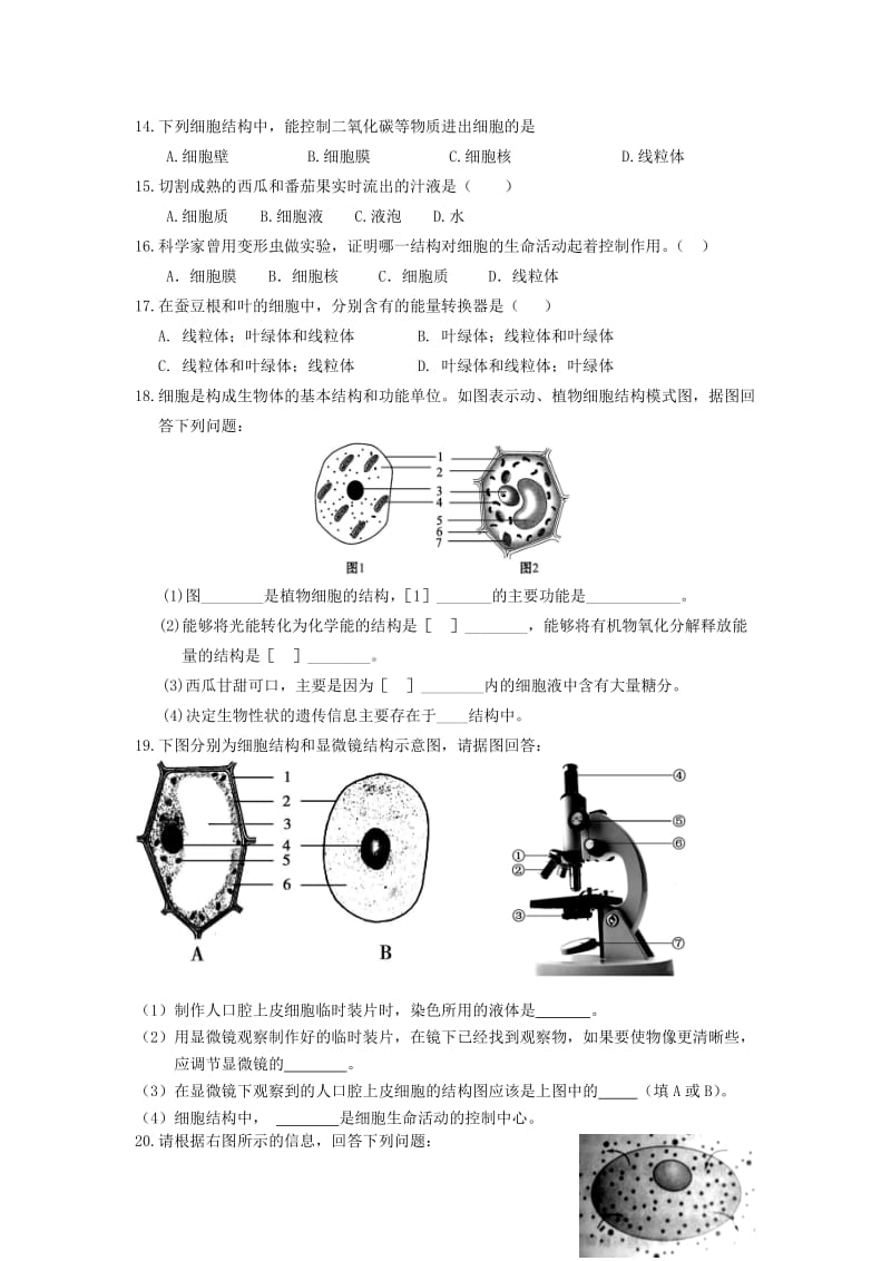 [精选类]202x学年七年级生物上册《第一单元 第二章 观察生物结构》第一节 细胞的结构和功能练习题（无答案） 济南版.doc_第3页