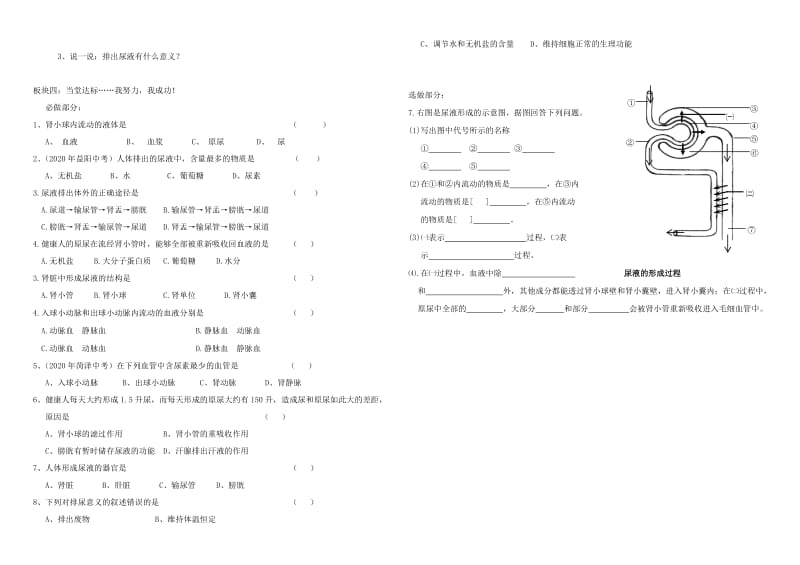 [精选类]七年级生物下册 3.4.1 尿的形成和排出学案（无答案） 济南版.doc_第2页