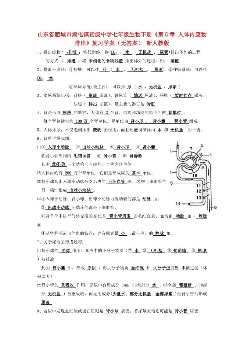 [精选类]山东省肥城市湖屯镇初级中学七年级生物下册《第5章 人体内废物排出》复习学案（无答案） 新人教版.doc_第1页