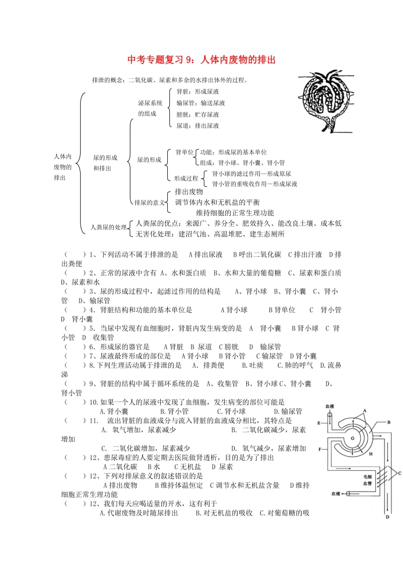 [精选类]中考生物专题复习（九）人体内废物的排出 人教新课标版.doc_第1页