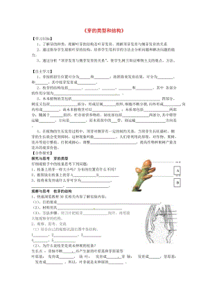 [精选类]山东省滕州市滕东中学202x学年八年级生物上册《芽的类型和结构》学案（无答案） 济南版.doc