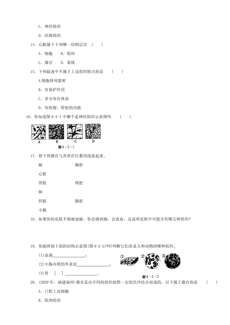 [精选类]七年级生物下册 3.8.2《人体和动物体的组成》同步练习 苏科版.doc_第3页