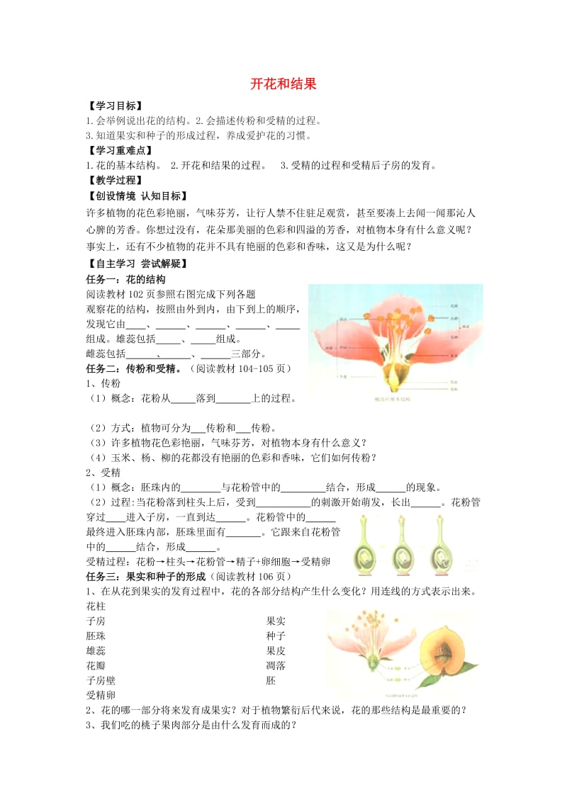 [精选类]七年级生物上册 3.2.3 开花和结果导学案（无答案）（新版）新人教版.doc_第1页