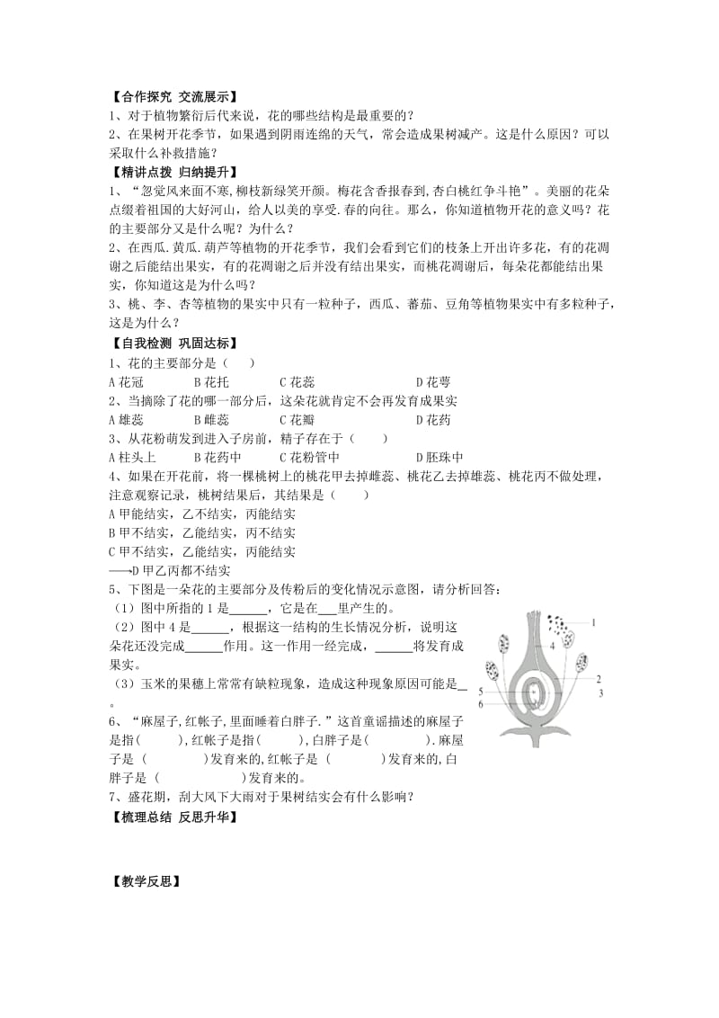 [精选类]七年级生物上册 3.2.3 开花和结果导学案（无答案）（新版）新人教版.doc_第2页