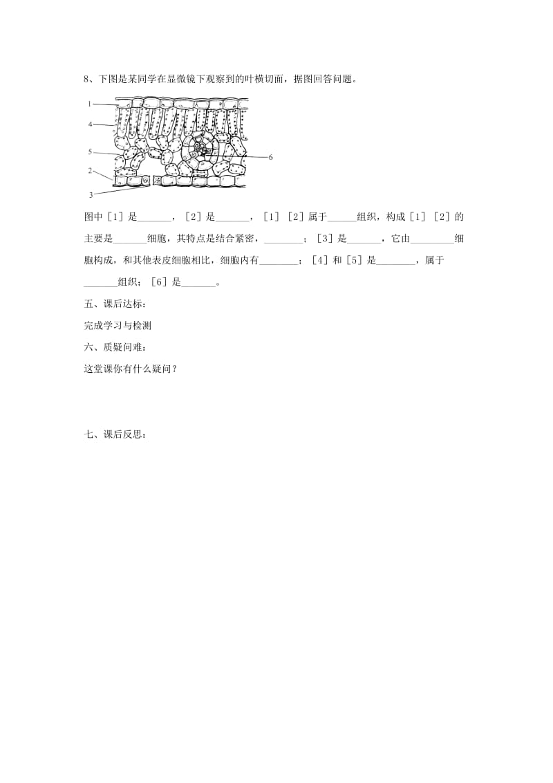 [精选类]七年级生物上册 2.1.2《绿色植物的蒸腾作用》第二课时导学案（无答案）（新版）济南版（通用）.doc_第3页