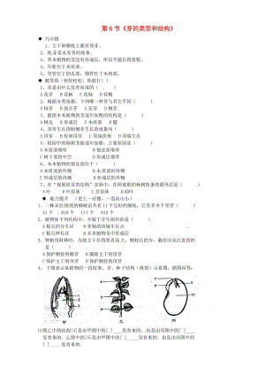 [精选类]山东省德州市夏津实验中学八年级生物上册 第四单元 第一章 第6节《芽的类型和结构》练习（无答案） 济南版.doc