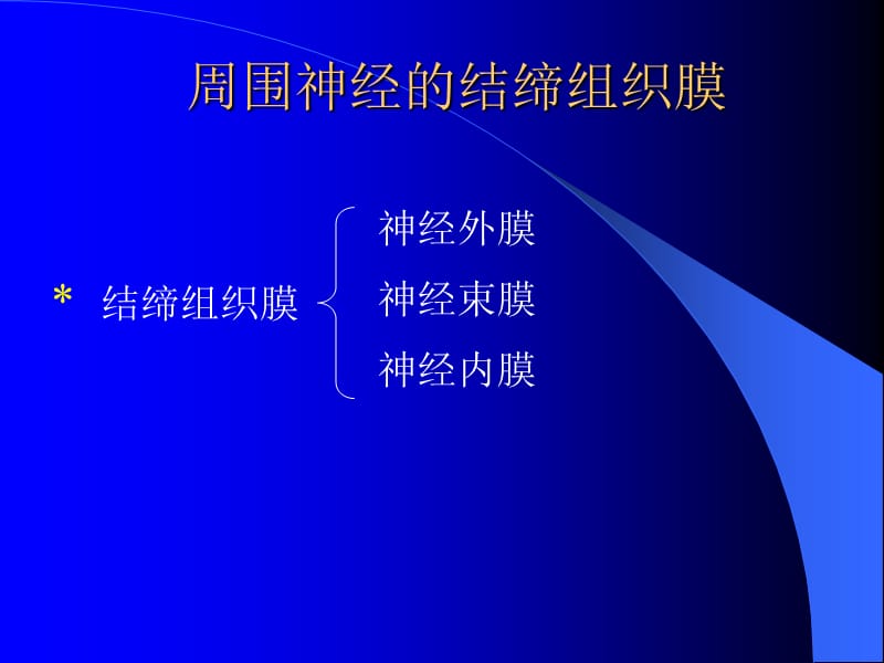 周围神经双卡、多卡综合征研究进展.ppt_第2页