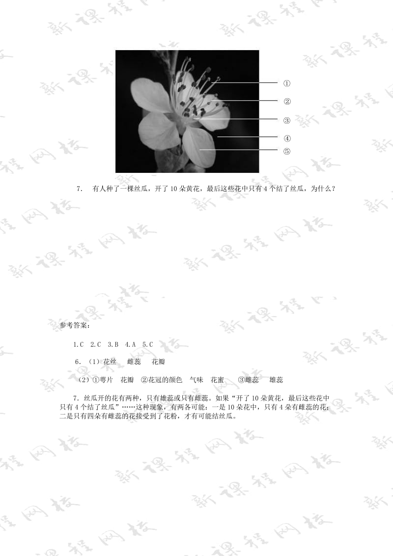 [精选类]七年级生物上册 开花和结果练习题 人教新课标版（通用）.doc_第2页