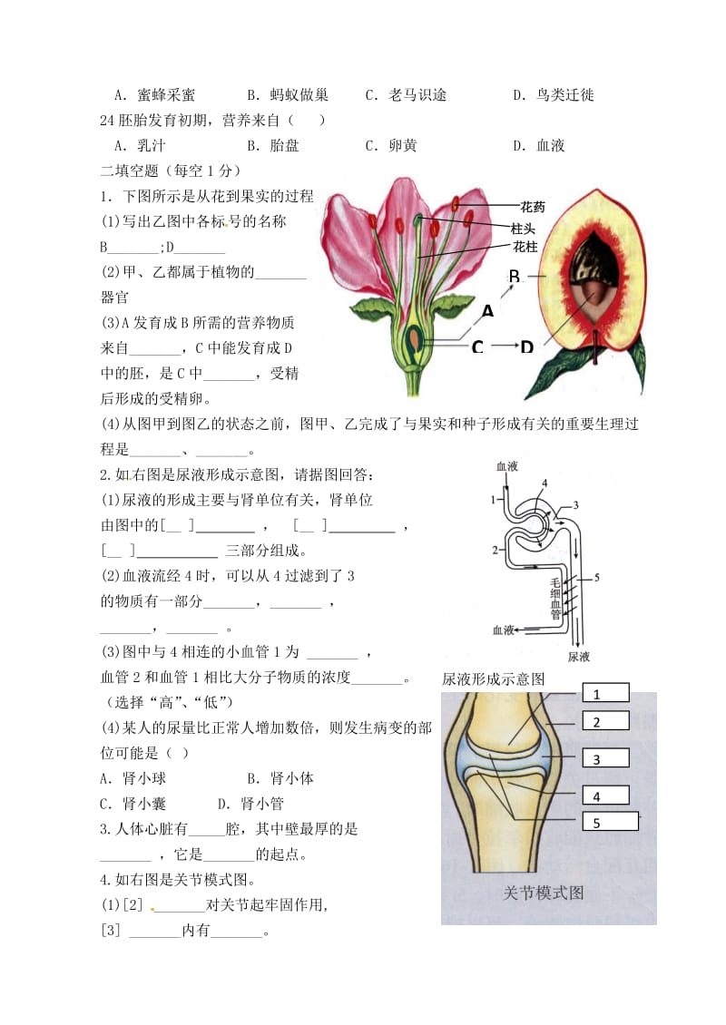 [精选类]内蒙古鄂尔多斯市达拉特旗第十一中学七年级生物模拟题（无答案）.doc_第3页