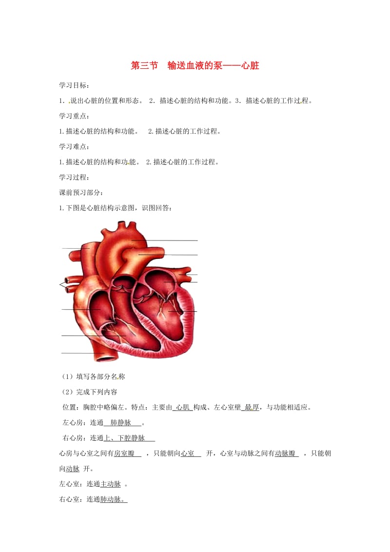 [精选类]202x年春七年级生物下册 第四单元 第四章 第三节 输送血液的泵 心脏学案（无答案）（新版）新人教版.doc_第1页