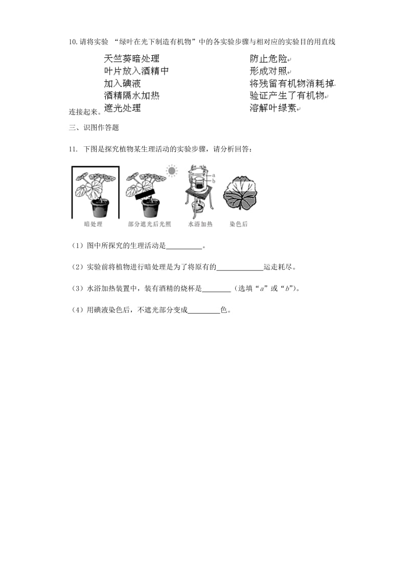 [精选类]七年级生物上册 3.6.3植物光合作用的实质同步测试（无答案）（新版）苏教版（通用）.doc_第3页