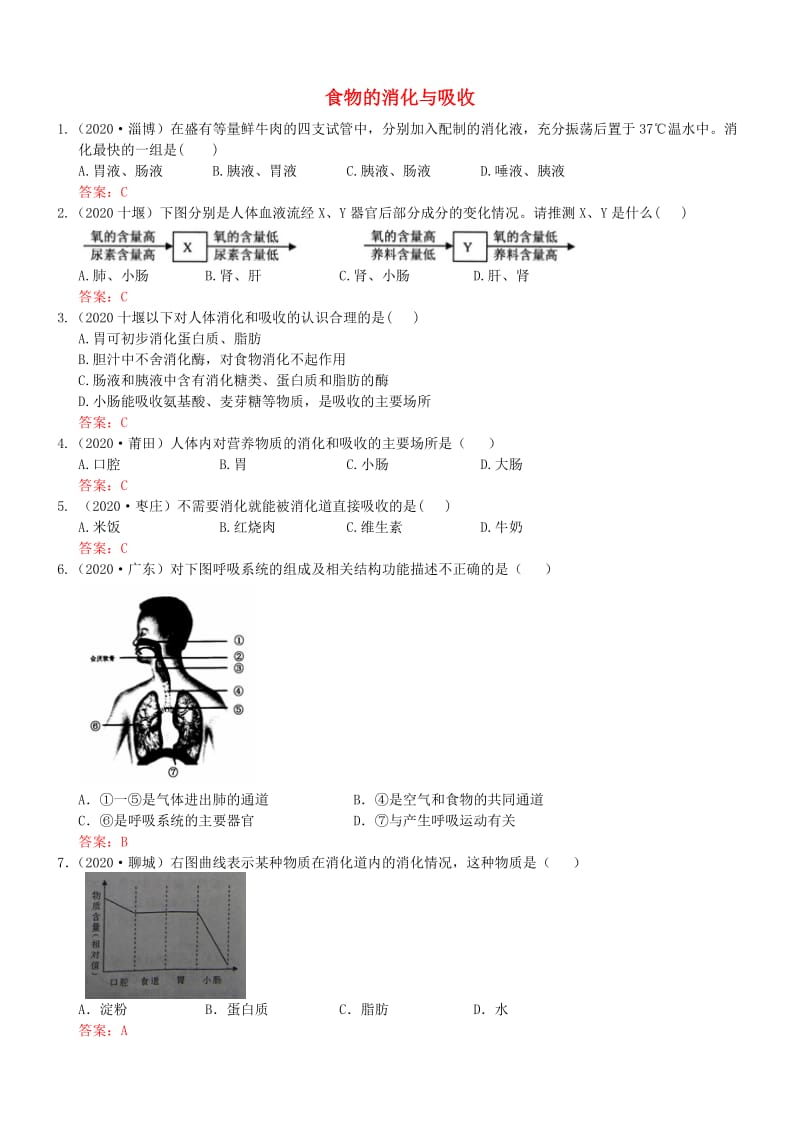 [精选类]202x年中考生物试题分类集之十一 人体的消化与吸收.doc_第1页