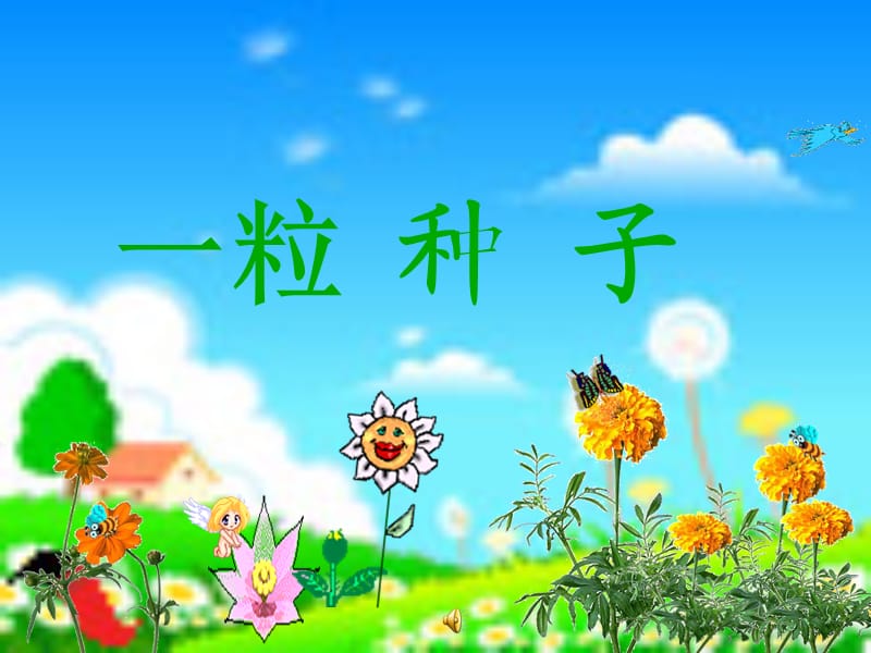 小种子课件.ppt_第1页