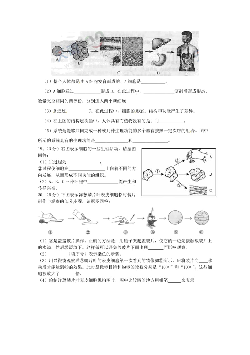 [精选类]九年级生物第二次大考（无答案） 人教新课标版（通用）.doc_第3页