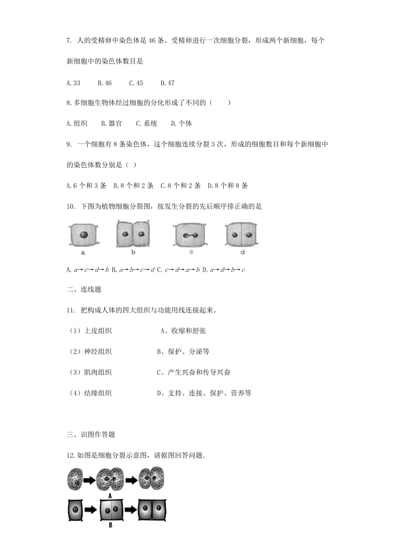 [精选类]七年级生物上册 2.3.3细胞的分裂和分化测试题（无答案）（新版）苏教版.doc_第2页