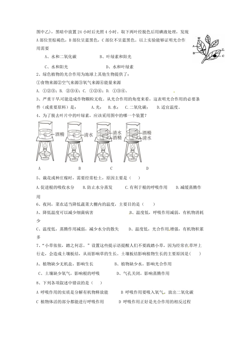 [精选类]七年级生物上册 第6章绿色植物的光合作用和呼吸作用复习学案 苏教版（通用）.doc_第3页