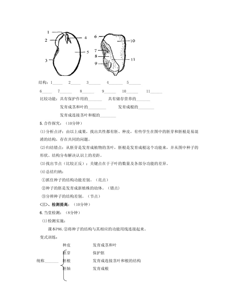 [精选类]七年级生物上册 第三单元 第一章 第二节 种子植物教学案（无答案） 新人教版.doc_第2页