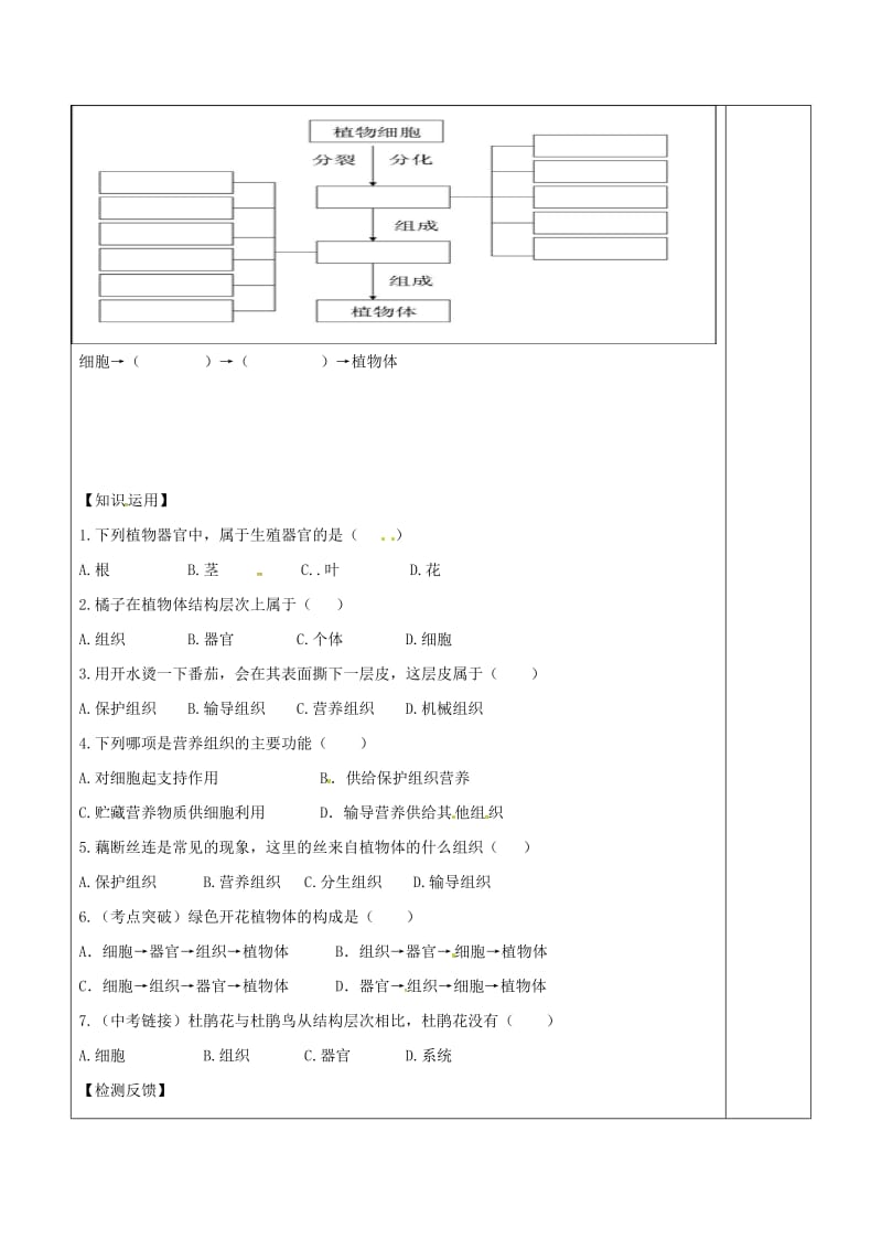 [精选类]内蒙古鄂尔多斯市七年级生物上册 2.2.3植物体的结构层次学案（无答案）（新版）新人教版（通用）.doc_第2页