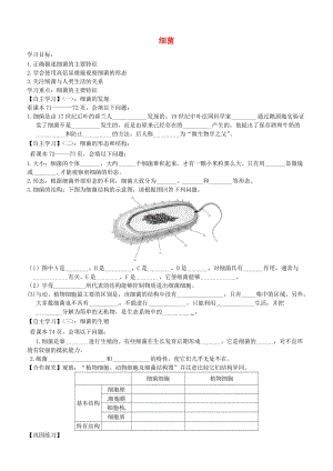 [精选类]山东省肥城市汶阳镇初级中学八年级生物上册 5.4.2 细菌导学案（无答案） （新版）新人教版.doc