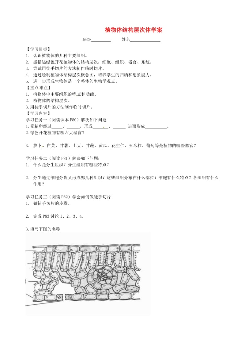 [精选类]山东省文登市七里汤中学七年级生物上册 植物体结构层次体学案（无答案） 鲁科版.doc_第1页