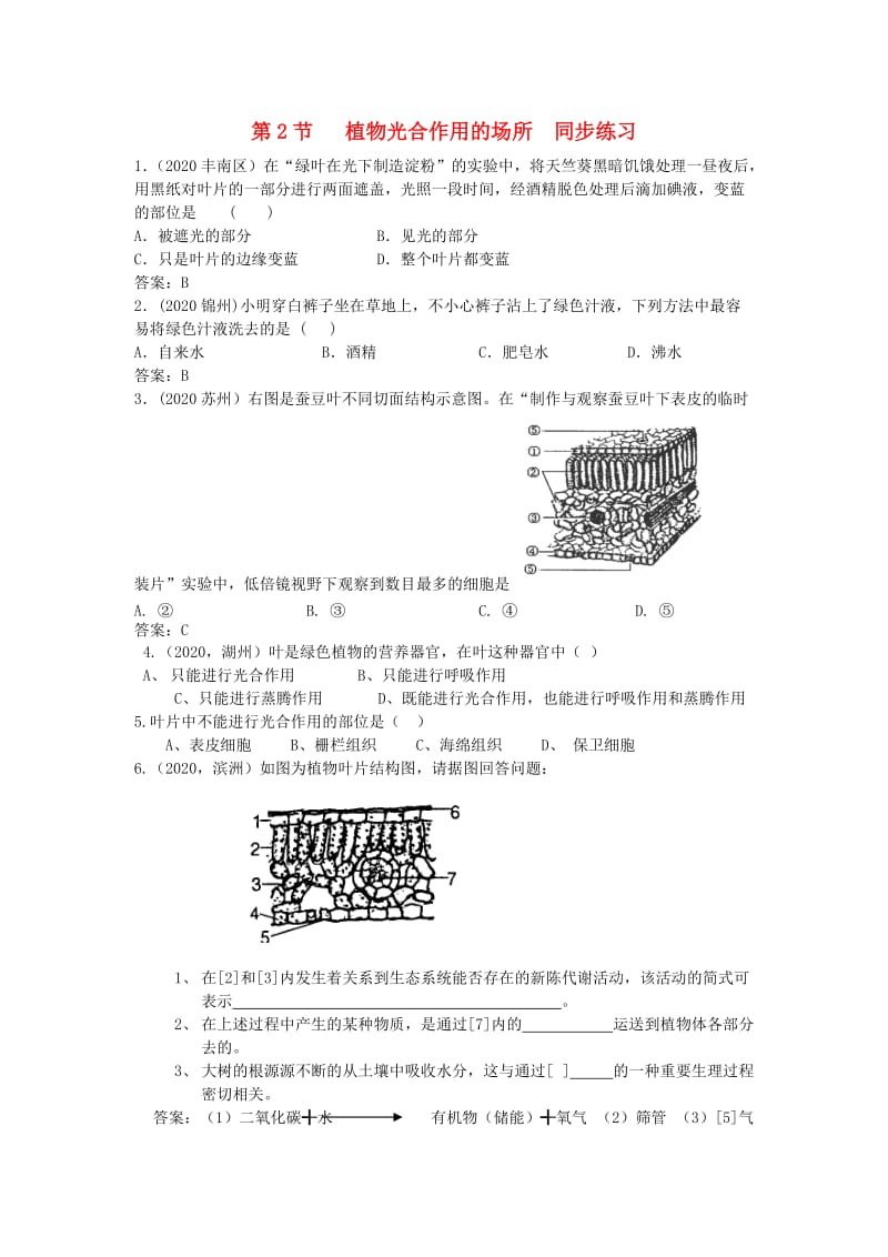 [精选类]七年级生物上册《植物光合作用的场所》同步练习 苏教版.doc_第1页