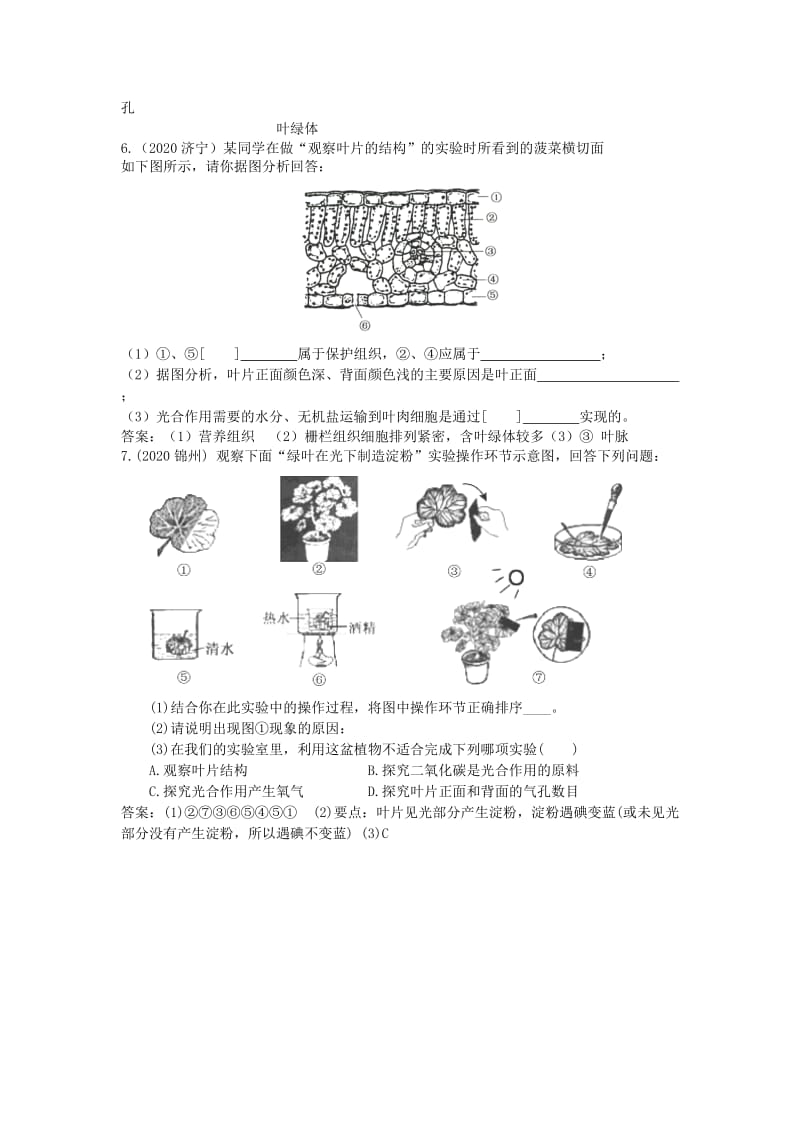 [精选类]七年级生物上册《植物光合作用的场所》同步练习 苏教版.doc_第2页