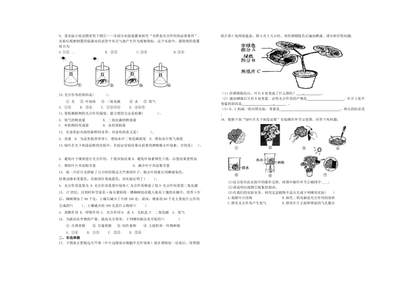 [精选类]七年级生物上册 第二单元第一章绿色植物的光合作用1学案（无答案） 济南版.doc_第2页